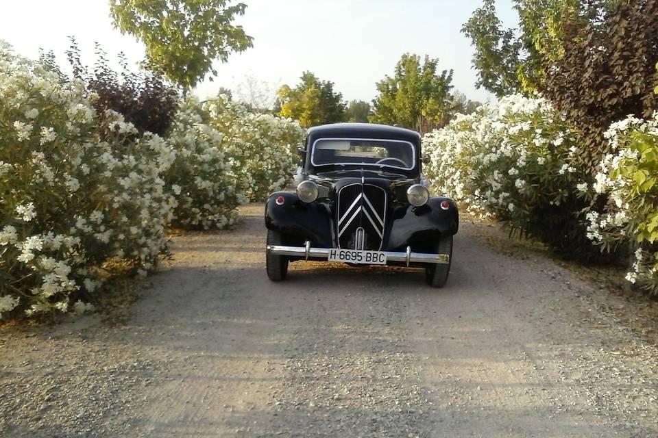 Coches clásicos Cuevas