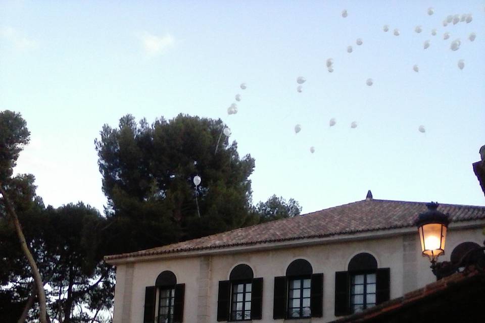 Globos al aire