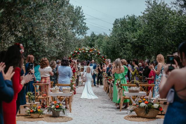 Ceremonia entre olivos