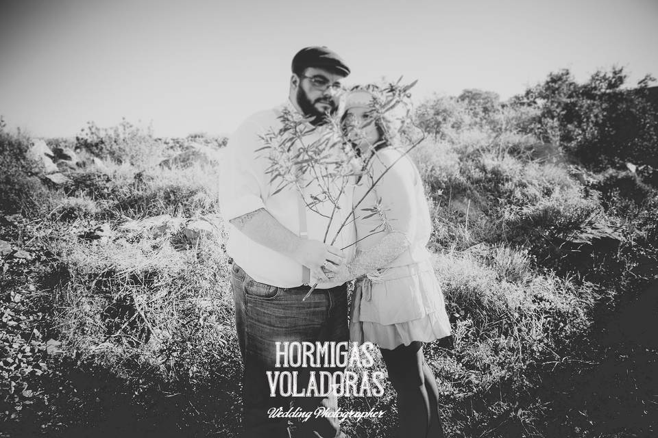 Hormigas Voladoras