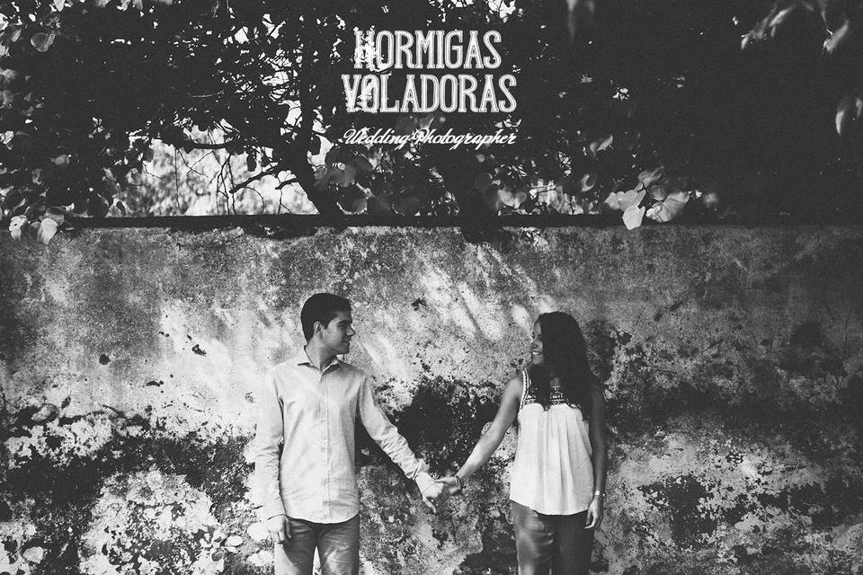 Hormigas Voladoras