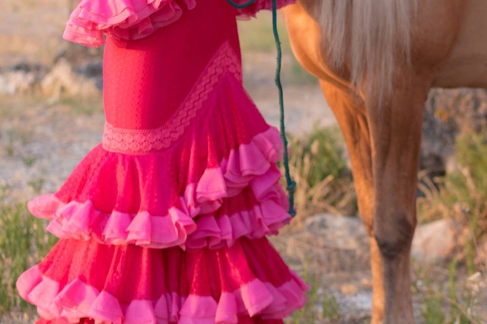 Tu book con caballos