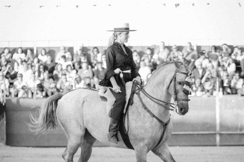 Caballos