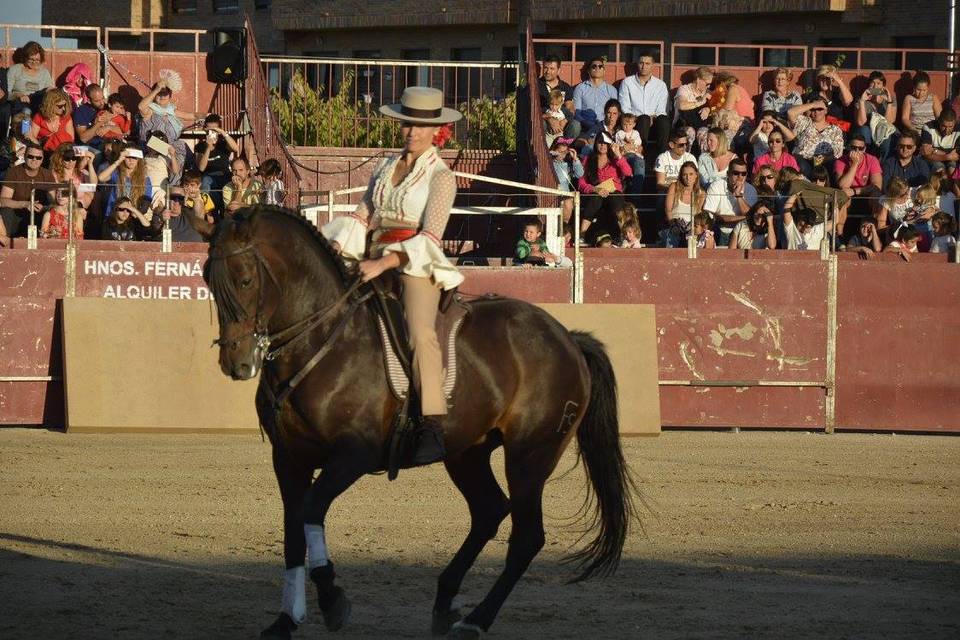 Caballos