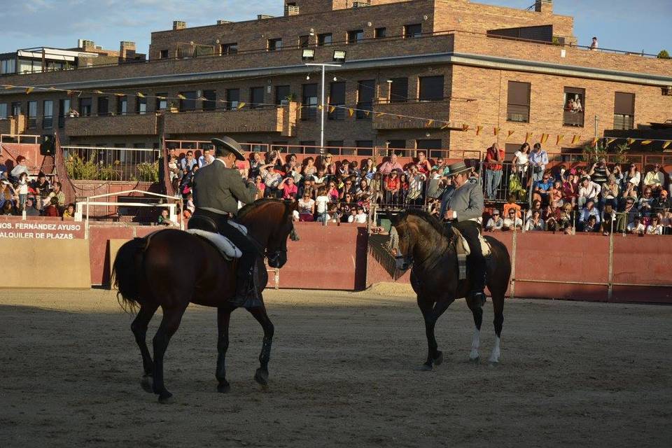 Cara a cara