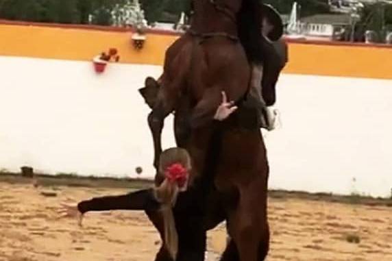 Sevillana