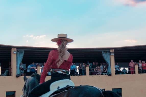 Caballo castaño