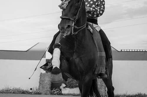 Paso español