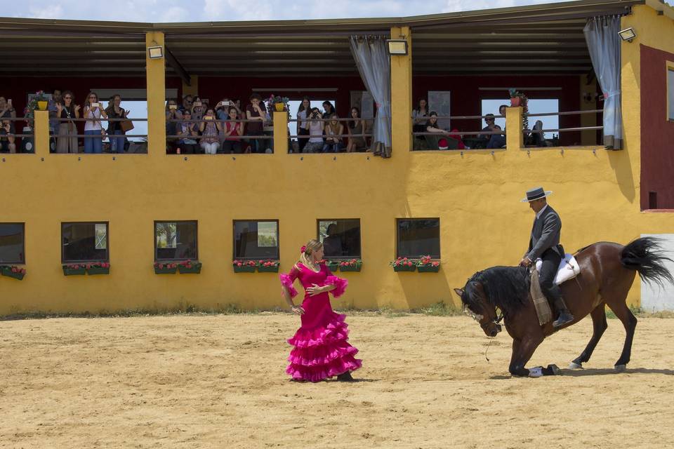 Baile