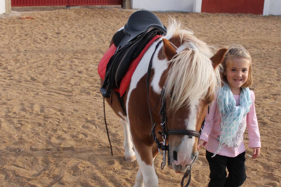 Pony para niños