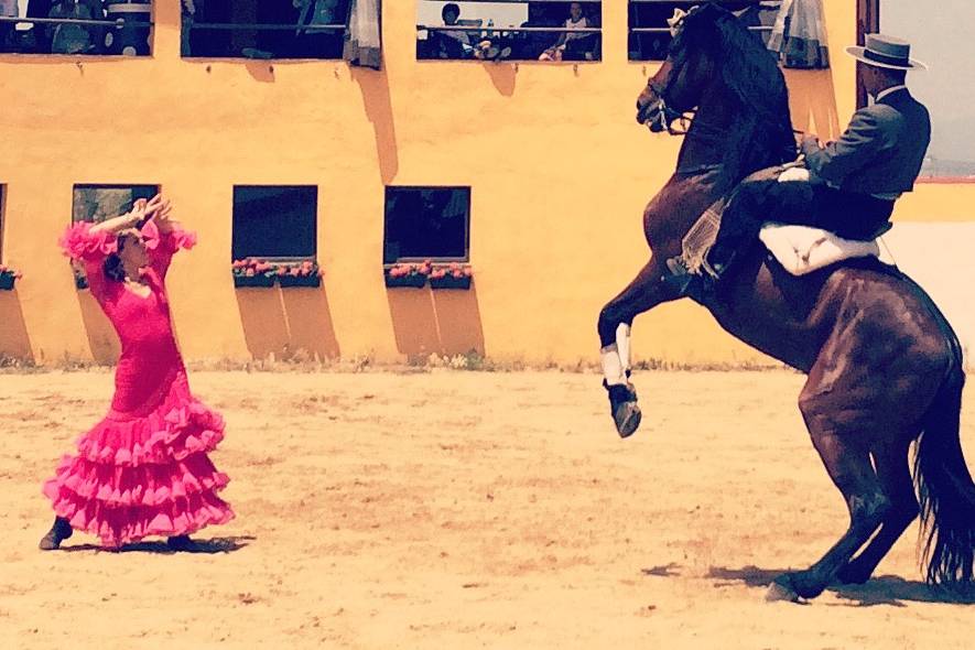 Baile