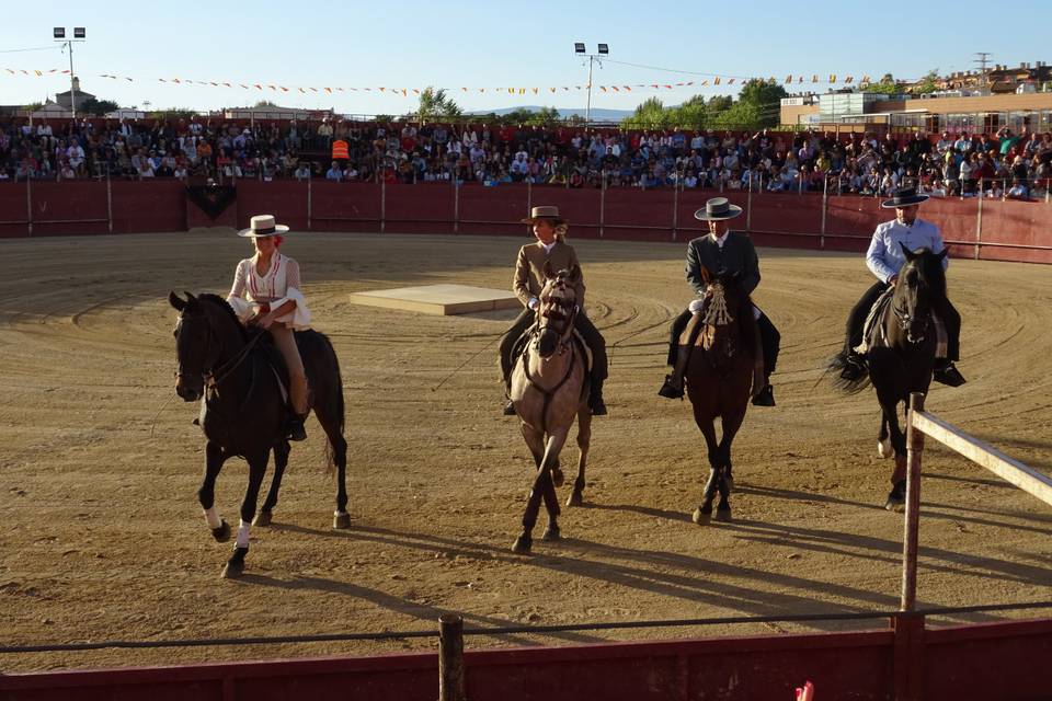 Caballos