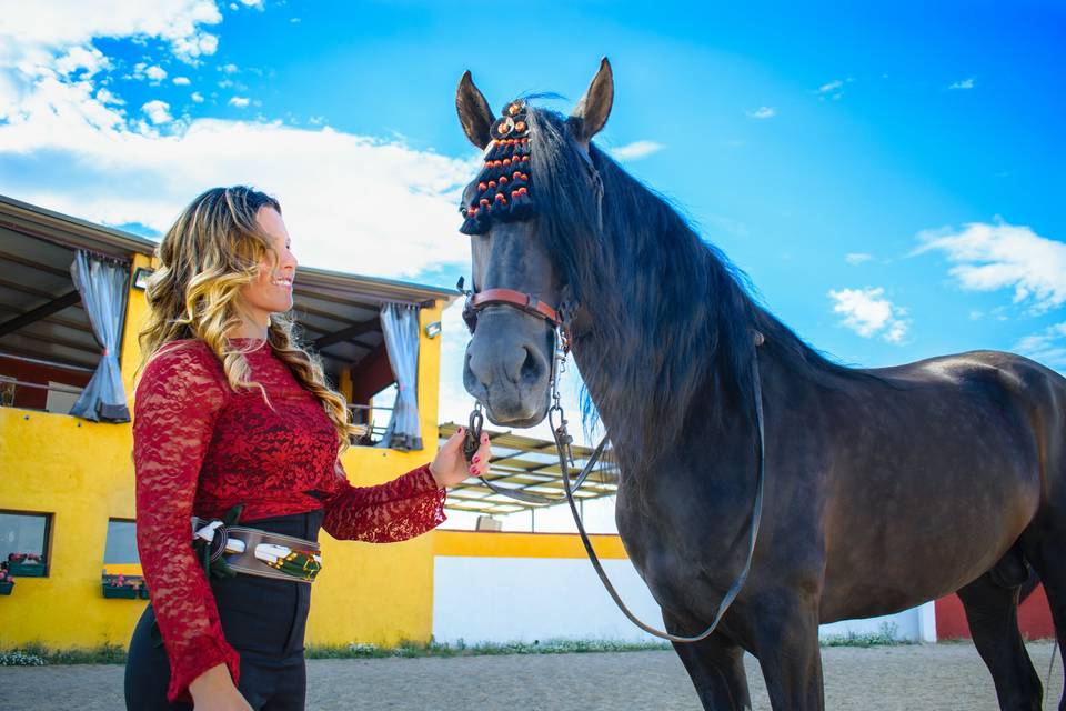 Doma de caballo
