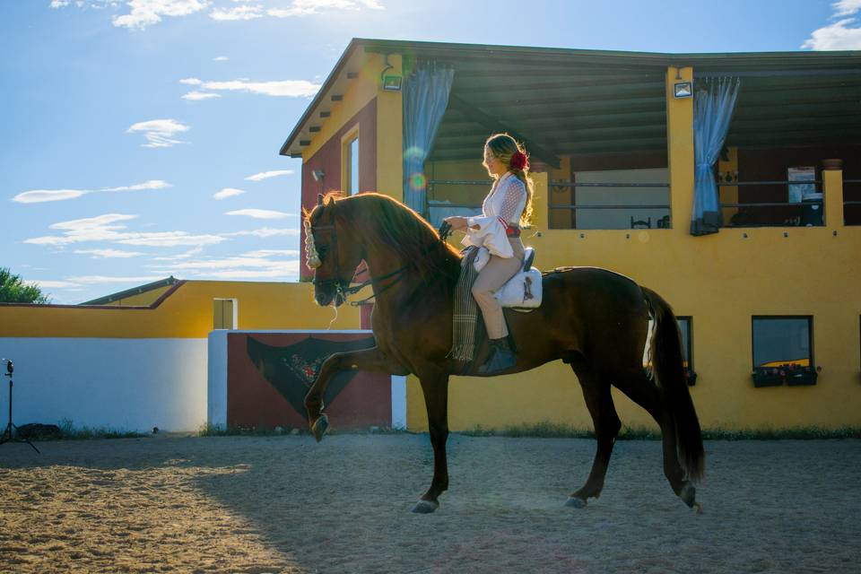 Doma de caballo