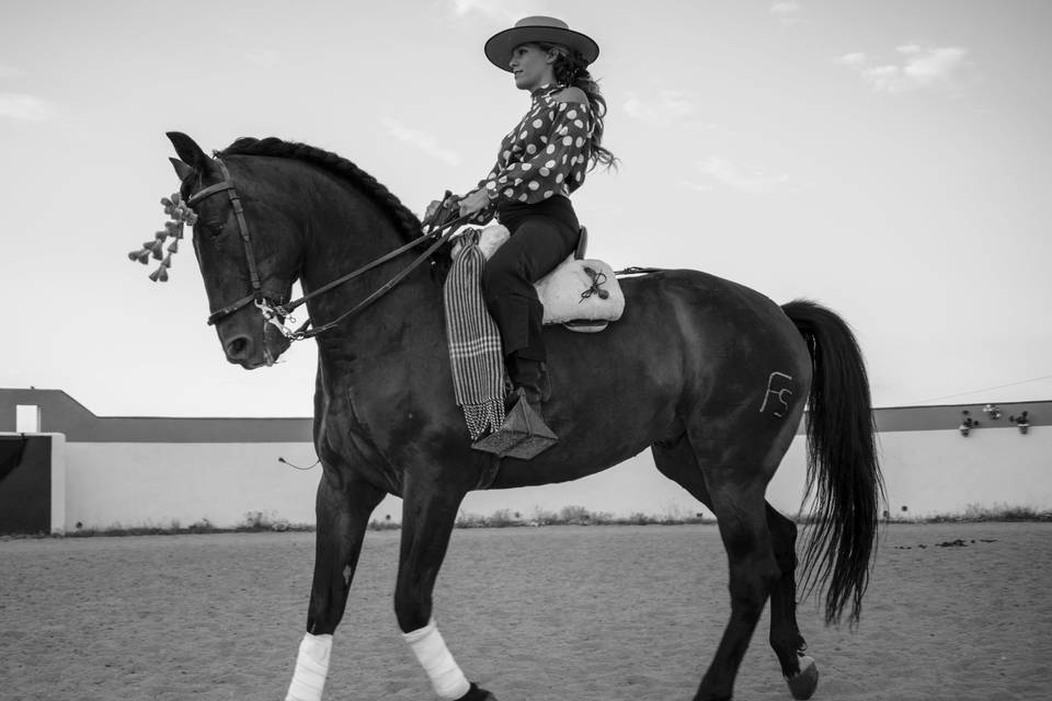 Doma de caballo