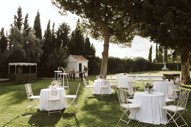 Copa Bienvenida
