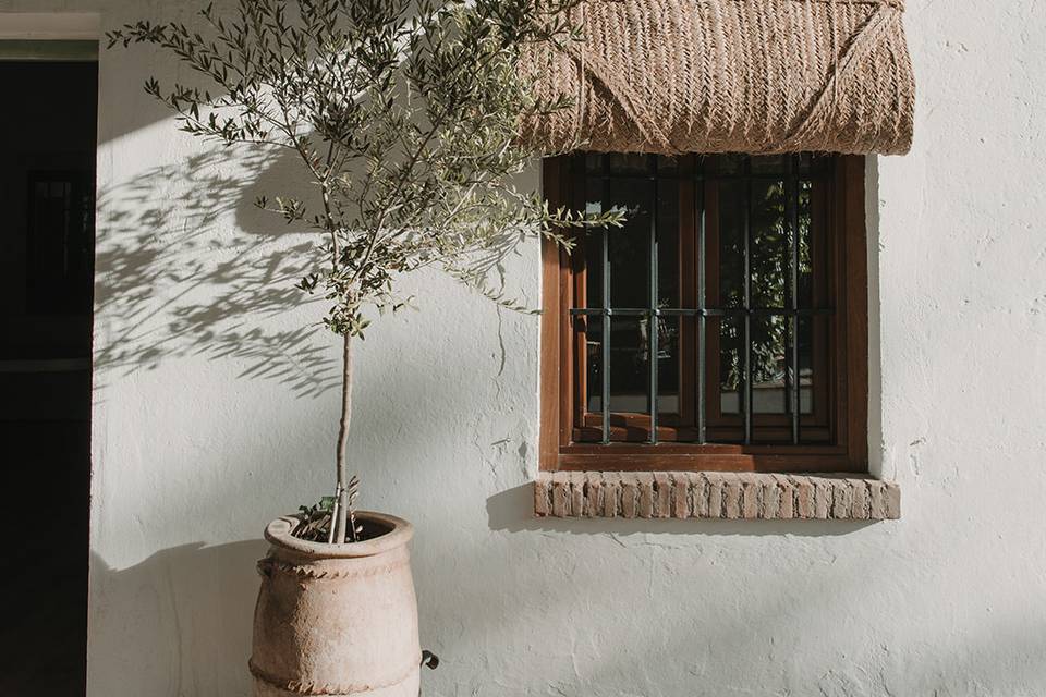 Encanto Andaluz