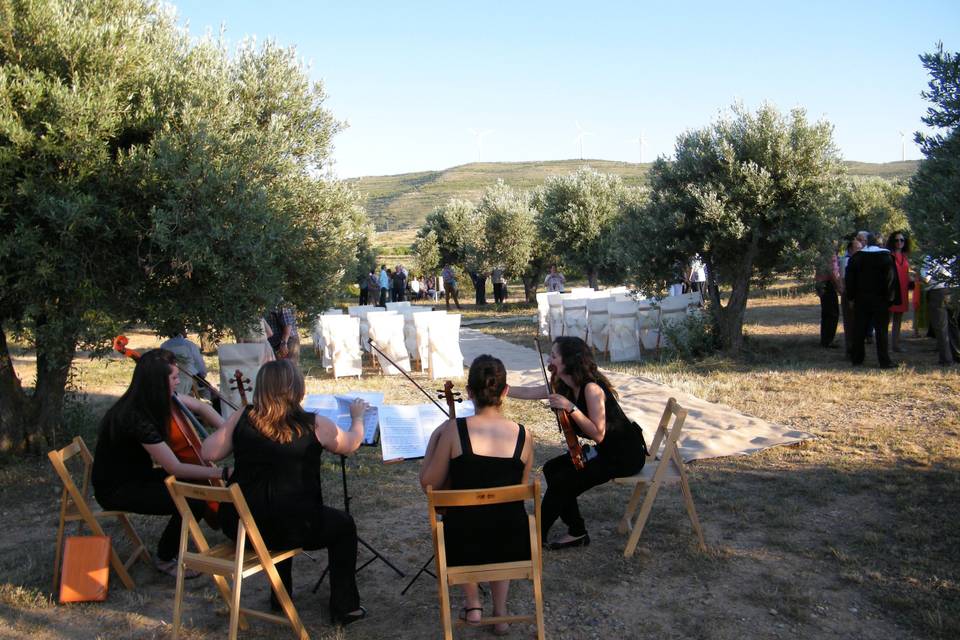 Ceremonia al aire libre