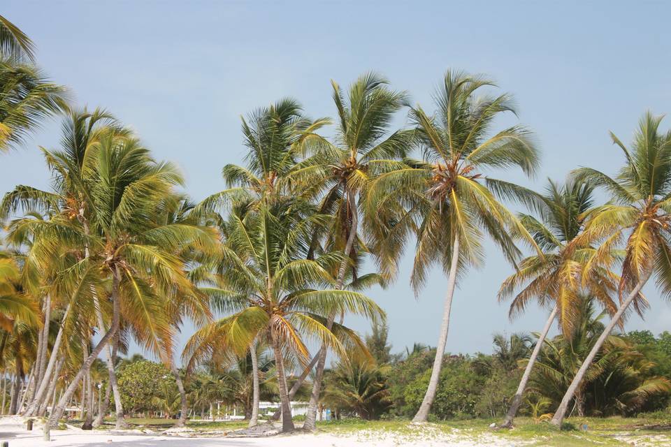 Punta cana