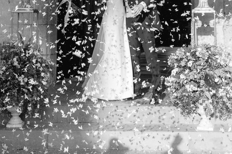 Un petit papillon weddings
