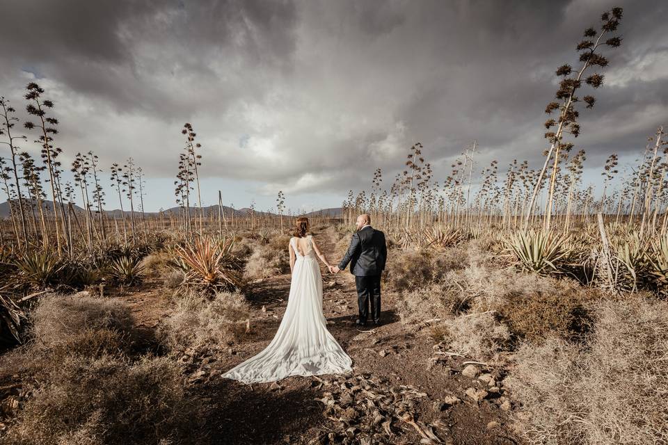 Postboda