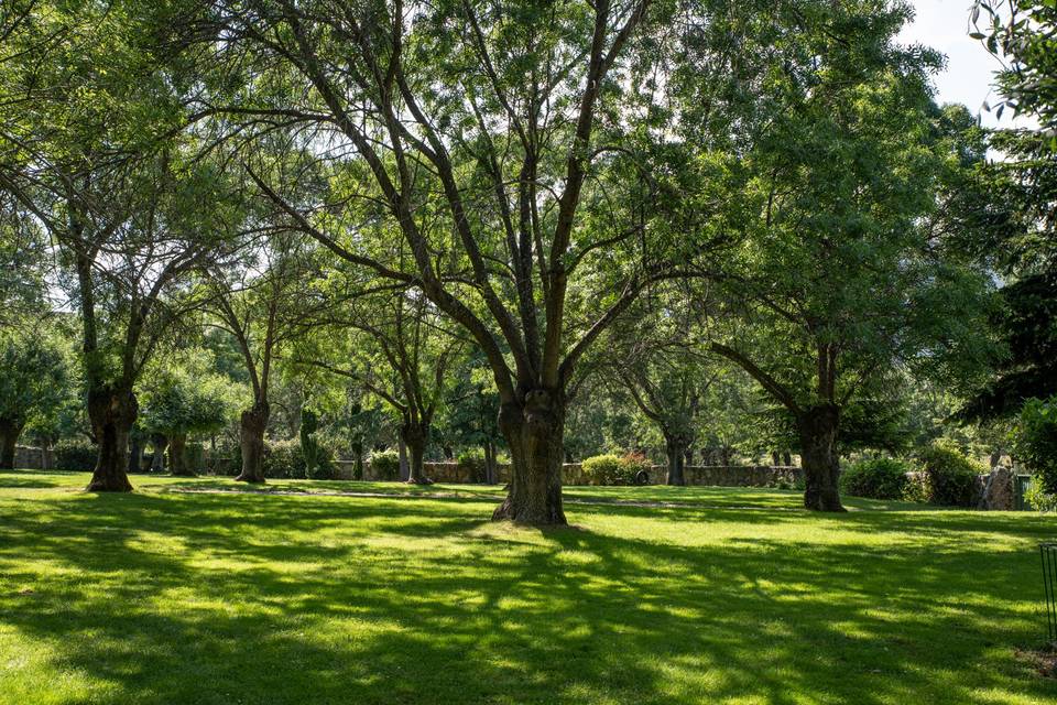 Jardines