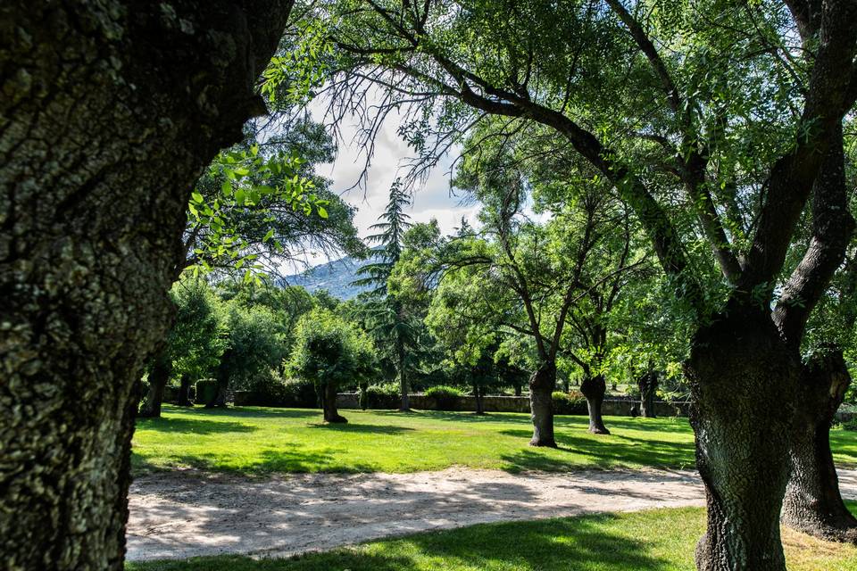 Jardines