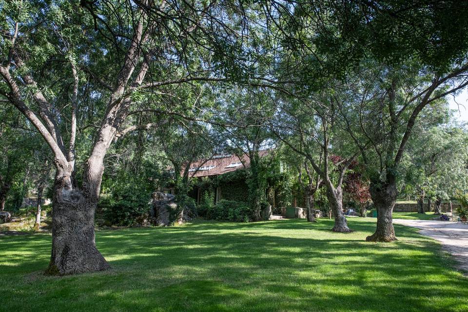 Jardines