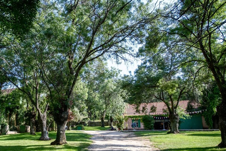 Casa principal y estudio