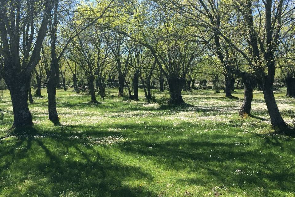 Finca en exclusividad