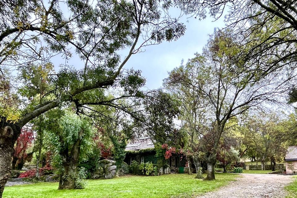 Jardines