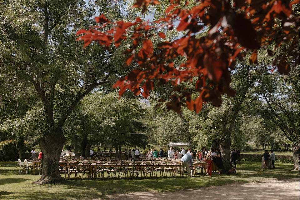 Finca La Machota