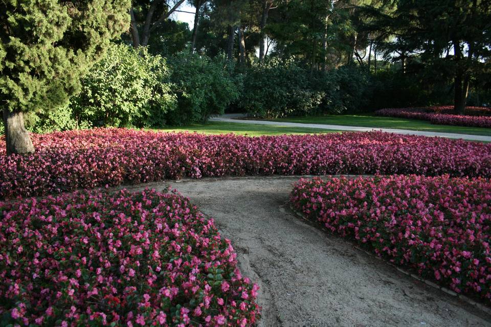 Rodeados de flores