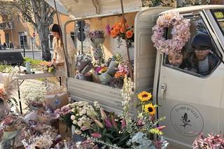 Flors d'Áleli