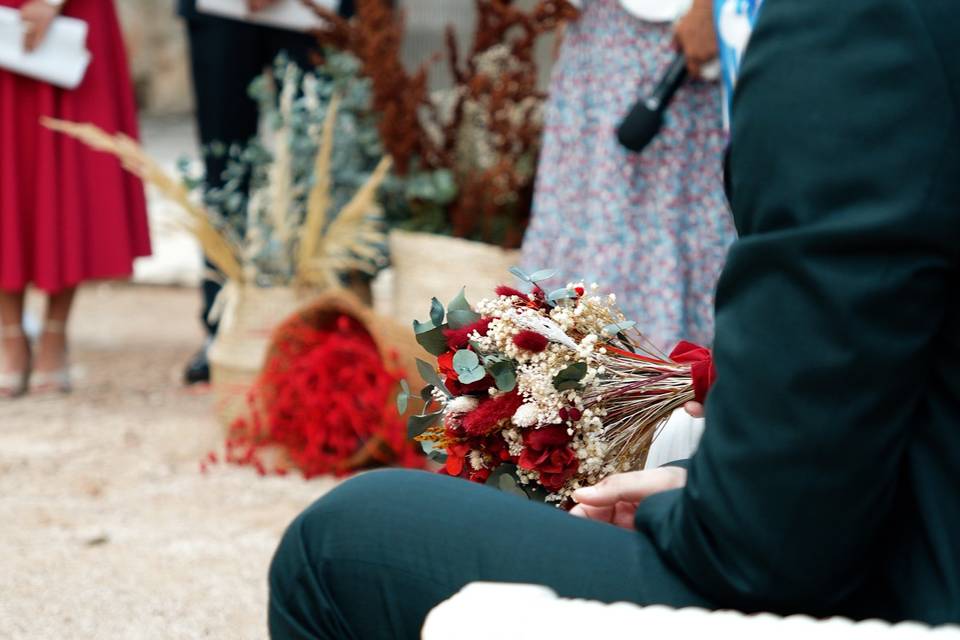 Cosmorimetría Studio