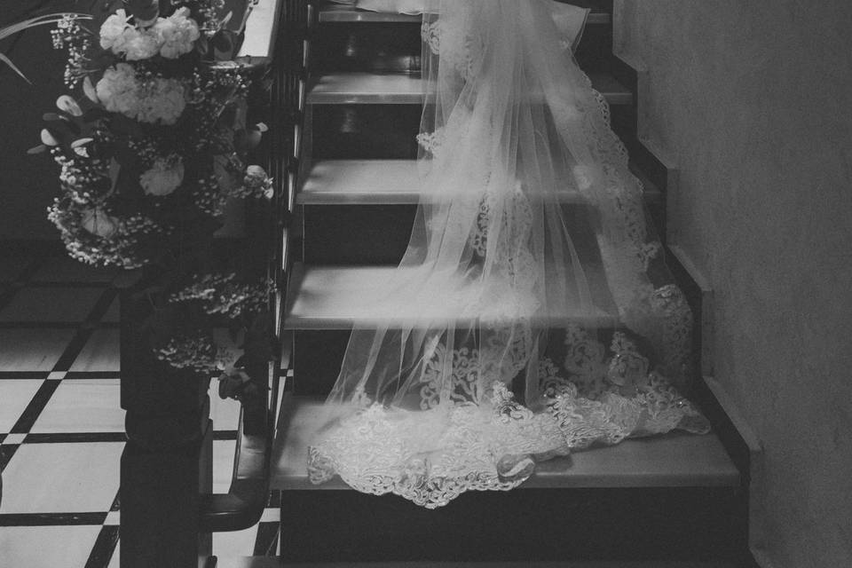 Elegancia