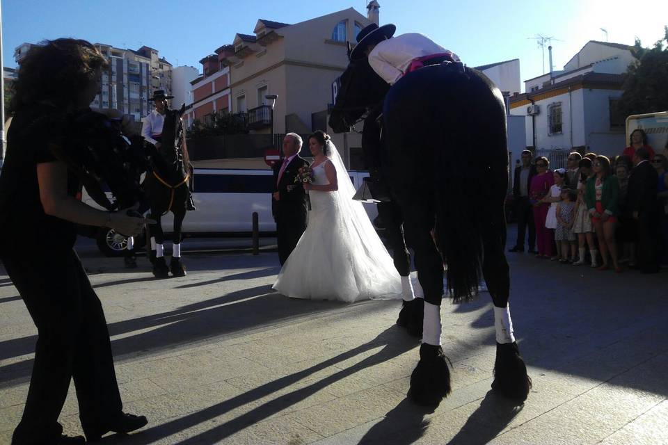 Organización de boda