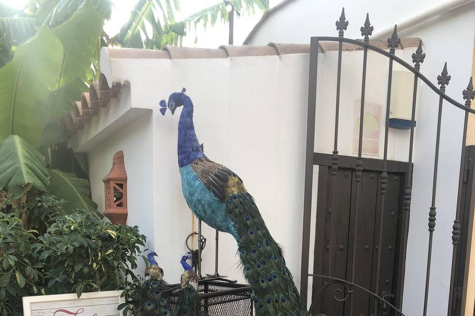 Decoración bodas