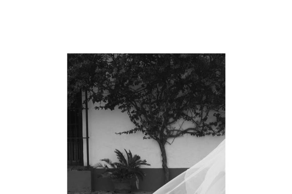Inés G. Photography
