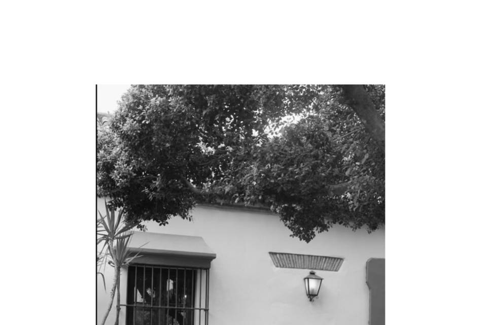 Inés G. Photography
