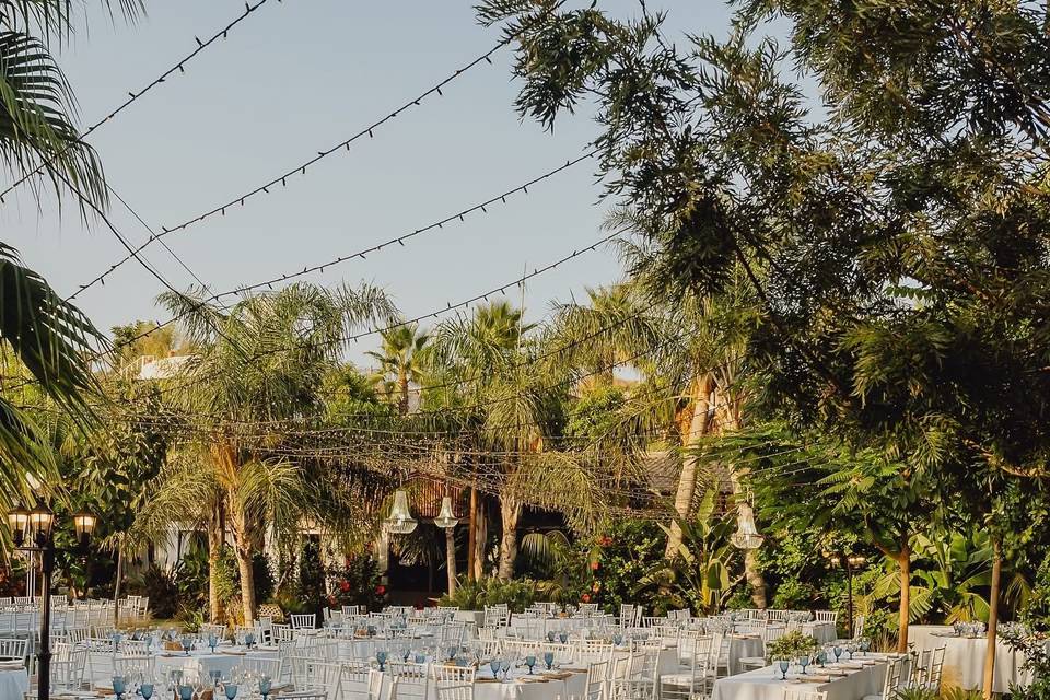 Banquete