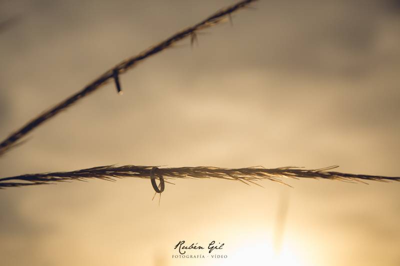 Rubén Gil Fotografía