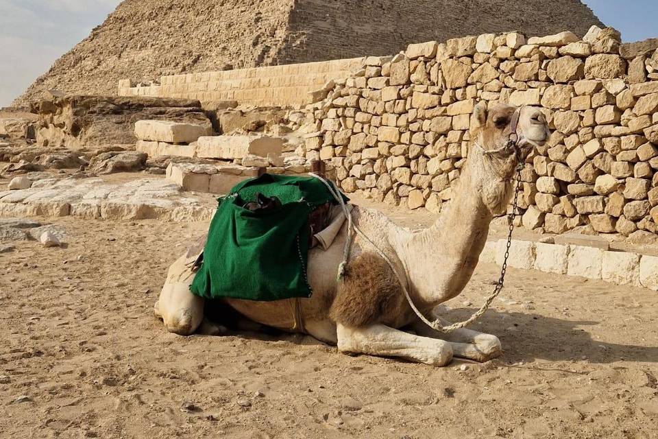 Egipto