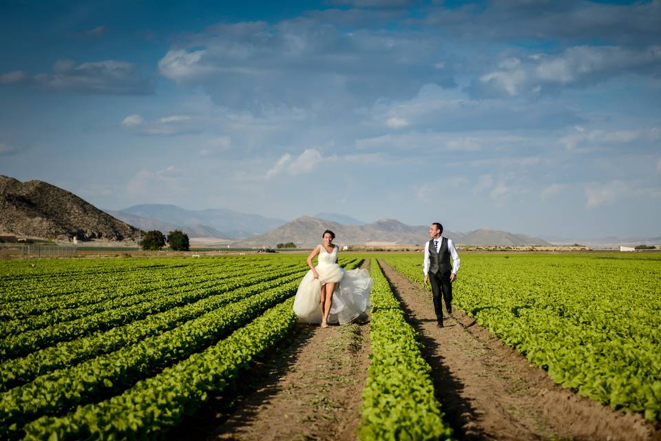 Postboda