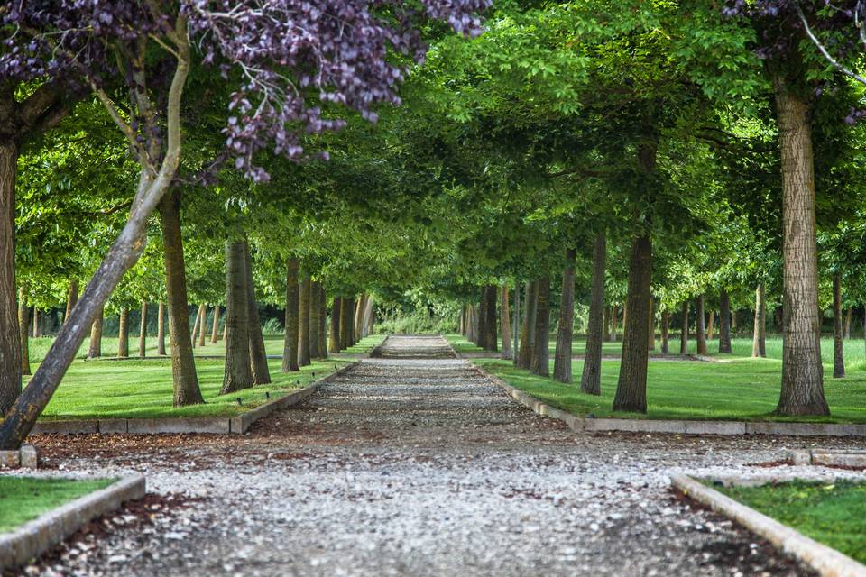 Jardines del palacio