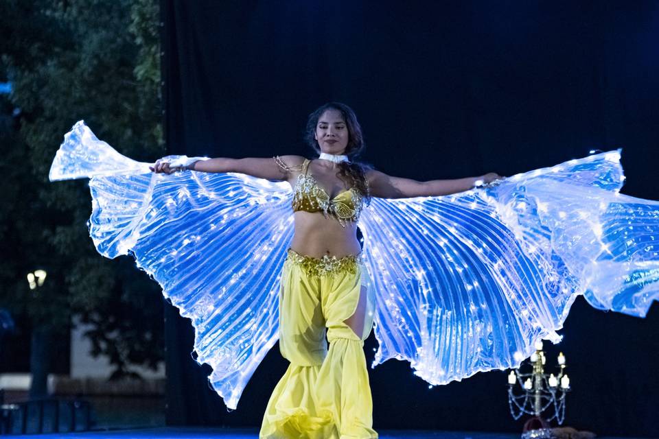 Led shows