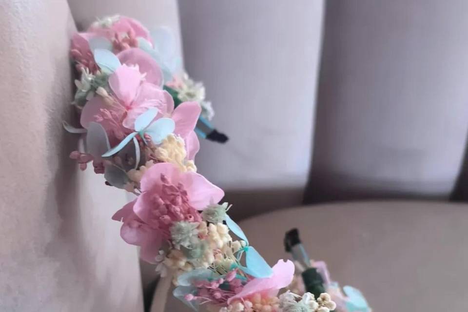 Diadema preservada