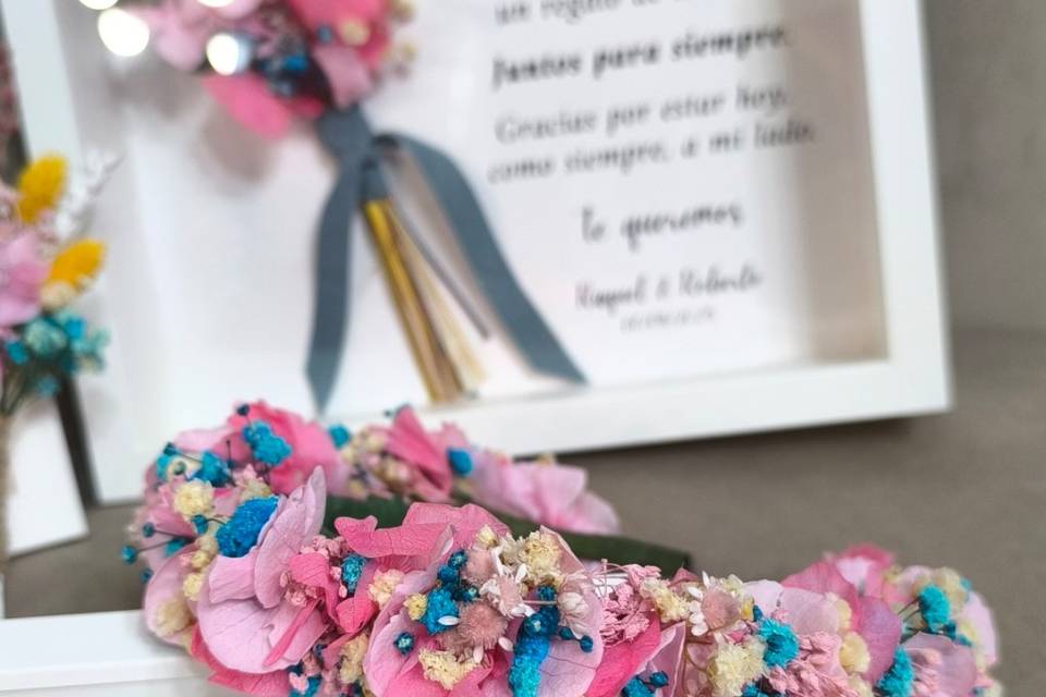 Diadema preservada