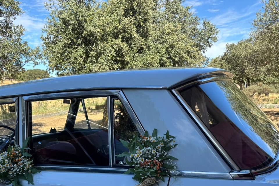 Coche novios