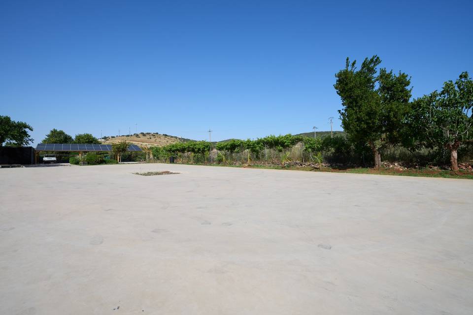 Zona carpa